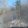 brush fire april 16 2008 018